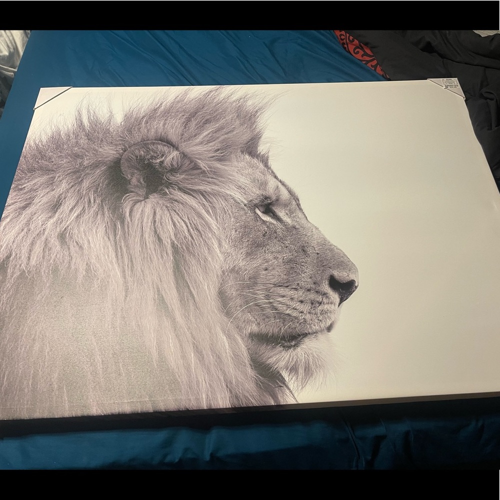 Huge wall canvas lion picture